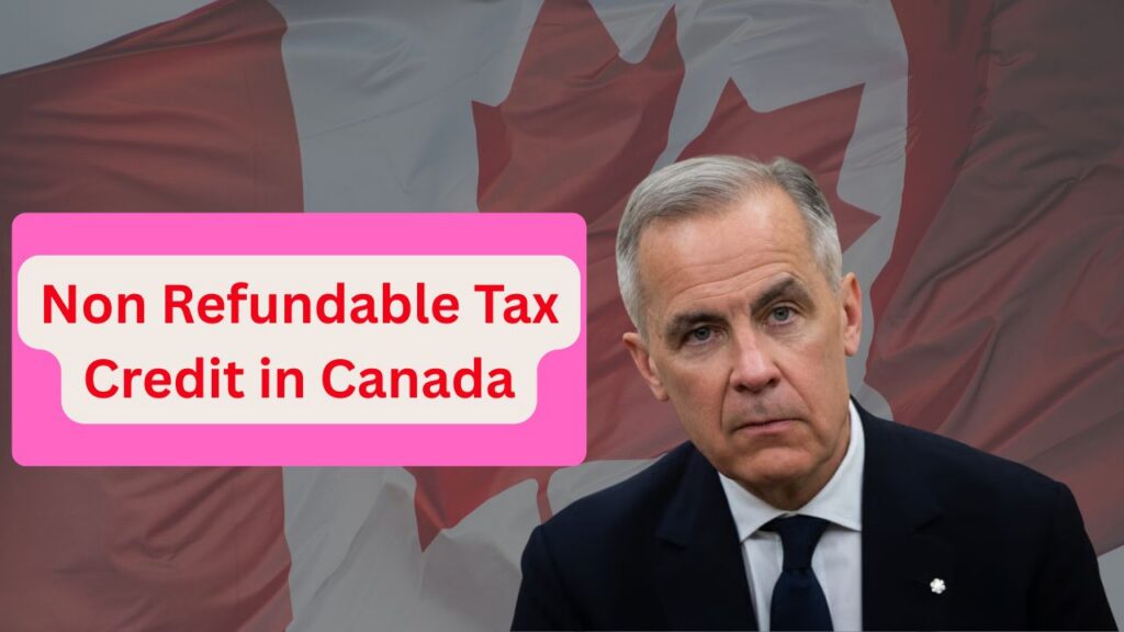 Non Refundable Tax Credit